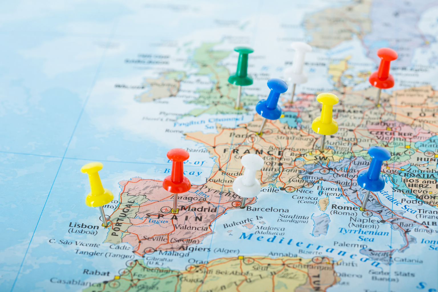 d4c9f51f b8ae 4909 8b01 2d10f5808e7e